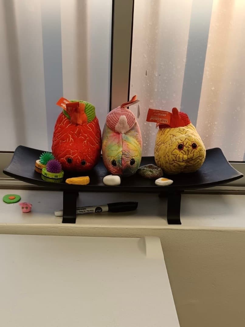 Peluches y objetos terapéuticos para reconocer y trabajar las emociones
